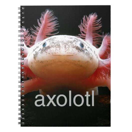 Carnet Axolotl d'Axolotl d'Axolotl d'Axolotl (Devant)