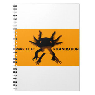 Carnet Axolotl orange
