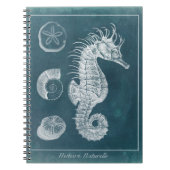 Carnet Azure Seahorse Study I (Devant)