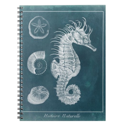 Carnet Azure Seahorse Study I (Devant)