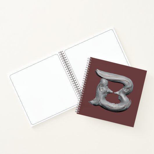 CARNET B (Intérieur)