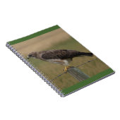 Carnet B10 Swainson's Hawk (Côté Droit)