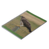 Carnet B10 Swainson's Hawk (Côté gauche)