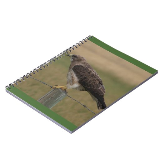 Carnet B10 Swainson's Hawk (Côté gauche)