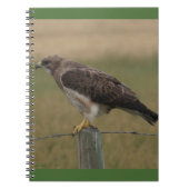 Carnet B10 Swainson's Hawk (Devant)