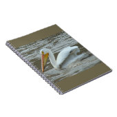 Carnet B14 Pélican blanc sur la rivière boueuse (Côté Droit)