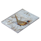 Carnet B22 Ring-necked Pheasant in Snow (Côté gauche)
