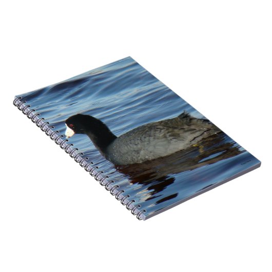 CARNET B27 (Côté Droit)