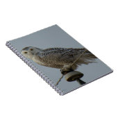 Carnet B38 Harfang des neiges (Côté Droit)