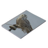 Carnet B38 Harfang des neiges (Côté gauche)