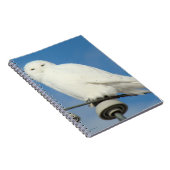Carnet B50 Harfang des neiges (Côté Droit)