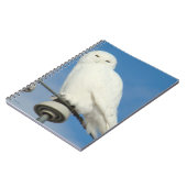 Carnet B50 Harfang des neiges (Côté gauche)