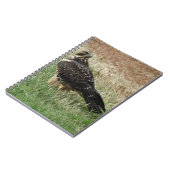 Carnet B52 Swainson's Hawk (Côté gauche)
