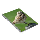 Carnet B56 Hibou des terriers (Côté Droit)