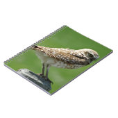 Carnet B56 Hibou des terriers (Côté gauche)
