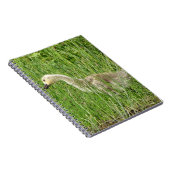 Carnet B58 Oison de Bernache du Canada dans l'Herbe (Côté Droit)