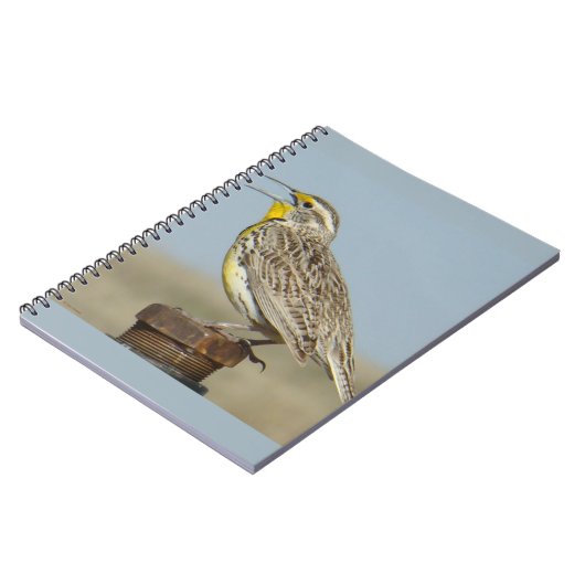 Carnet B6 Ouest Meadowlark (Côté gauche)