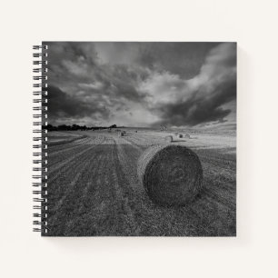 Carnet B&W Barley Field