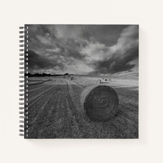 Carnet B&W Barley Field (Devant)