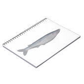 Carnet Baboso (Côté gauche)