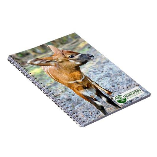 Carnet Baby Bongo (Côté Droit)