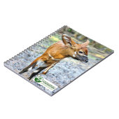 Carnet Baby Bongo (Côté gauche)