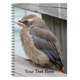Carnet Baby Cedar Waxwing Bird Nature Notebook