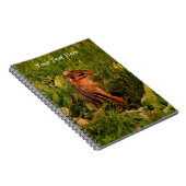 Carnet Baby Chipmunk Animal Nature Art (Côté Droit)