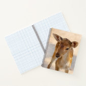 Carnet Baby Deer (Intérieur)