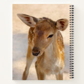 Carnet Baby Deer (Dos)