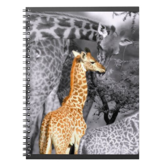 Carnet Baby Giraffe (Devant)