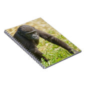 Carnet Baby Gorilla (Côté Droit)