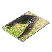 Carnet Baby Gorilla (Côté gauche)