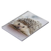 Carnet Baby hedgehog (Côté gauche)
