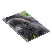 Carnet Baby Mountain Gorilla (Côté Droit)