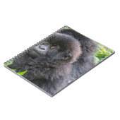 Carnet Baby Mountain Gorilla (Côté gauche)