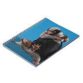 Carnet Baby Nifflers Find A Prize (Côté gauche)