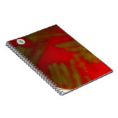 Carnet Bactéries de Penumonia (Côté Droit)