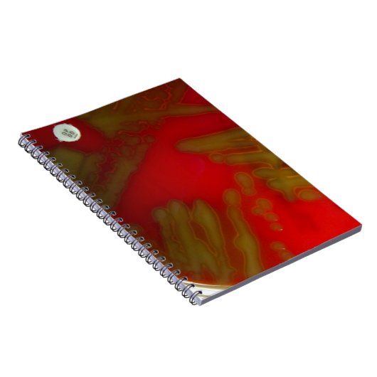 Carnet Bactéries de Penumonia (Côté Droit)