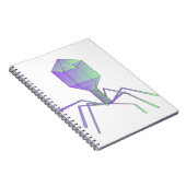 Carnet Bactériophage (Côté Droit)