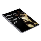 Carnet Badass Cats " Que regardez-vous ! " (Côté Droit)