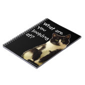 Carnet Badass Cats " Que regardez-vous ! " (Côté gauche)