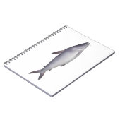 Carnet Bagre de mer (Côté gauche)