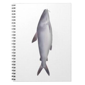 Carnet Bagre de mer