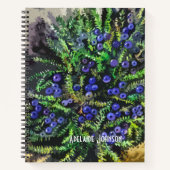 Carnet Baies bleues (Devant)