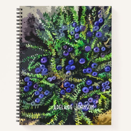 Carnet Baies bleues (Devant)