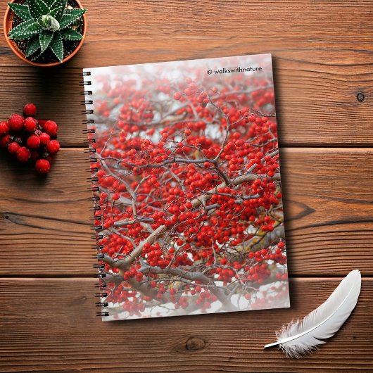 Carnet Baies d'hiver rouge vif Baies d'arbre blanc