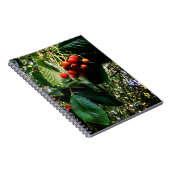 Carnet Baies rouges (Côté Droit)