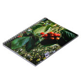 Carnet Baies rouges (Côté gauche)