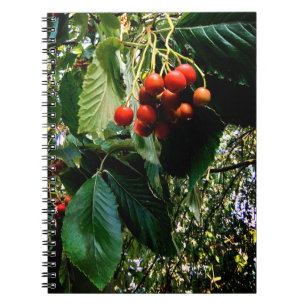 Carnet Baies rouges